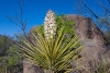Big Bend Photos