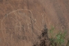 Big Bend Photos