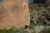 Big Bend Photos