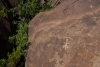 Big Bend Photos