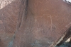 Big Bend Photos