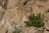 Big Bend Photos