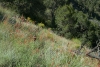 Big Bend Photos