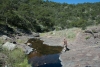 Big Bend Photos