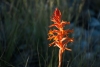 Big Bend Photos
