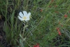 Big Bend Photos