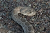 Big Bend Photos