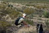 Big Bend Photos