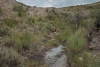 Big Bend Photos