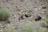 Big Bend Photos