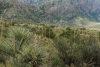 Big Bend Photos