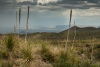 Big Bend Photos