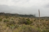 Big Bend Photos