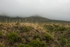 Big Bend Photos