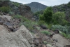 Big Bend Photos