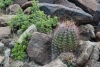 Big Bend Photos
