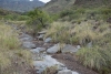 Big Bend Photos
