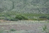 Big Bend Photos