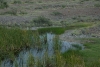 Big Bend Photos