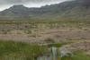 Big Bend Photos