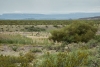 Big Bend Photos