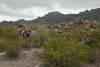 Big Bend Photos