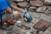 Big Bend Photos