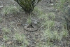 Big Bend Photos