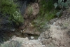 Big Bend Photos