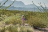 Big Bend Photos