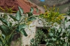 Big Bend Photos