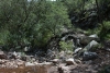 Big Bend Photos