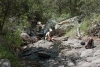 Big Bend Photos