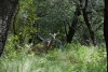 Big Bend Photos