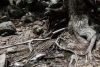 Big Bend Photos