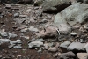 Big Bend Photos