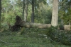 Texas Hurricane