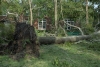 Texas Hurricane