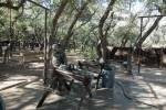 King Ranch