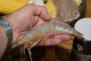 Shrimp Boil