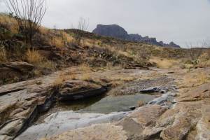 Rough Spring