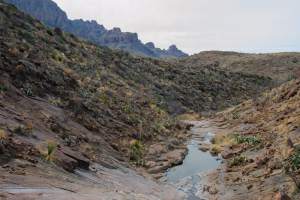 Big Bend Photos