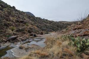 Big Bend Photos
