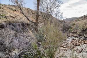 Big Bend Photos