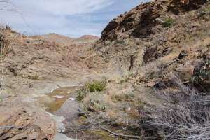 Big Bend Photos