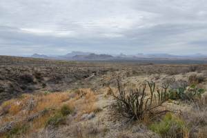 Big Bend Photos