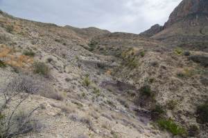 Big Bend Photos