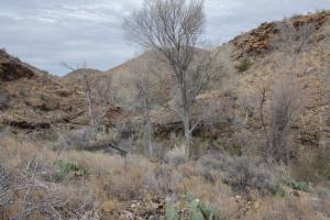 Big Bend Photos