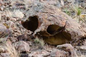 Big Bend Photos