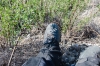 My Hot feet